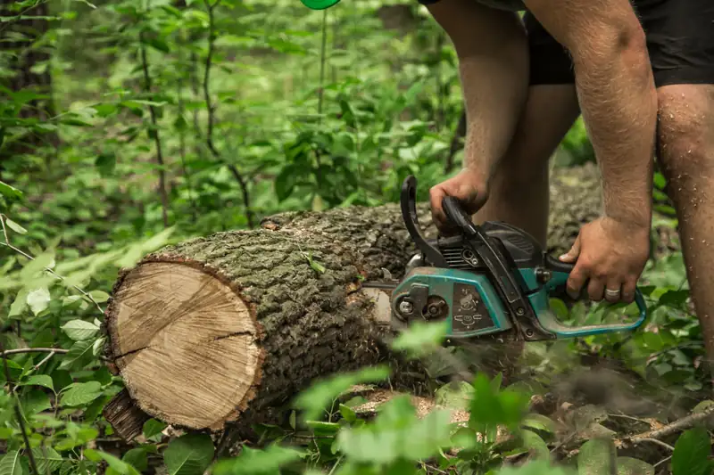 Chainsaw cutting a felled tree trunk into sections during a tree removal