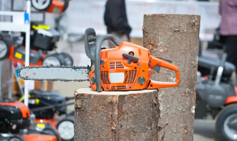 Chainsaw resting on top of a freshly cut tree stump