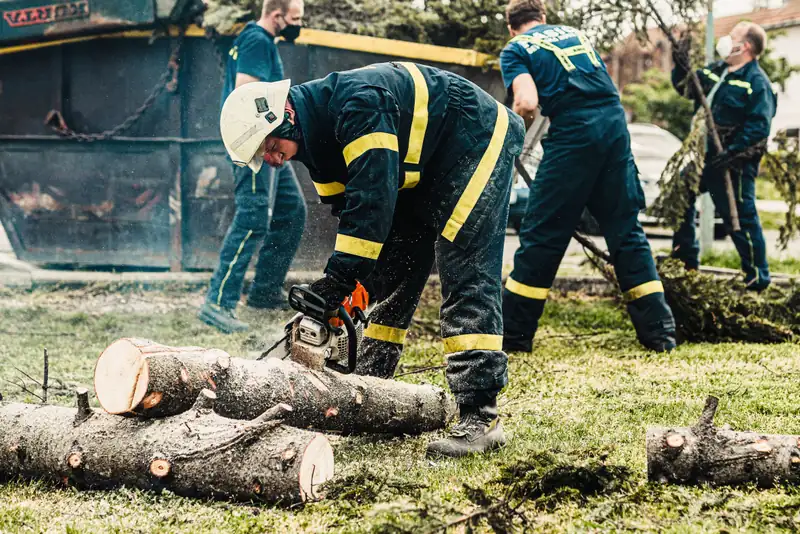 Workers in safety gear cutting a downed tree trunk into sections