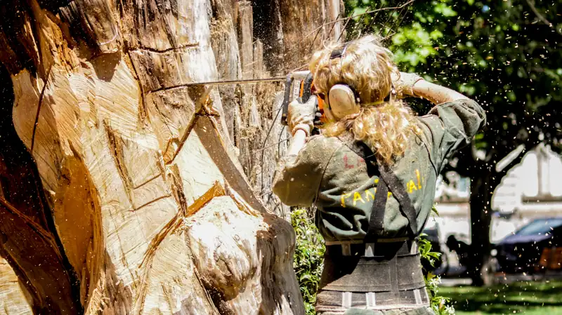 Worker cutting into a decayed, hollowing tree trunk